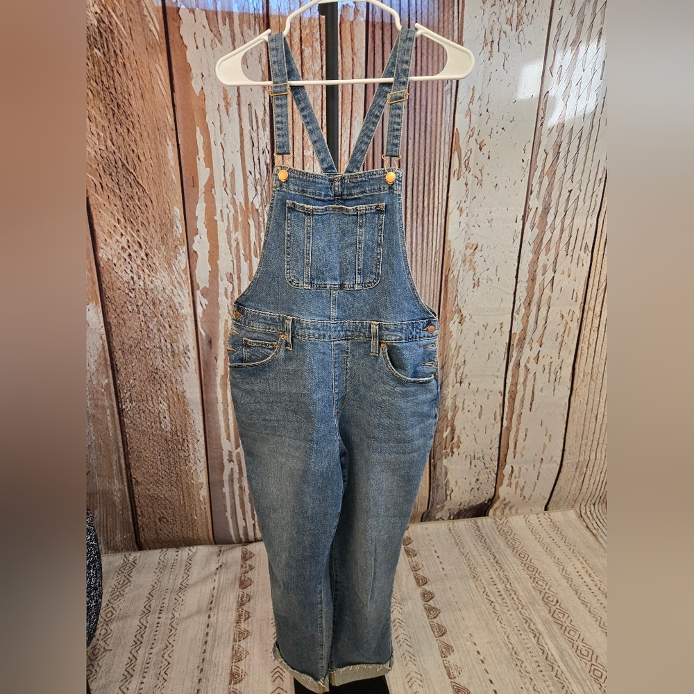 Universal Thread Denim Overalls